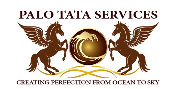Palo Tata Services