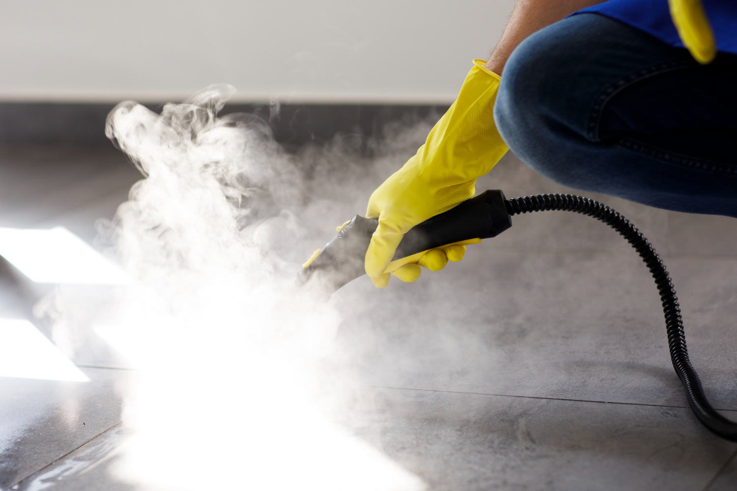 Steam cleaning service